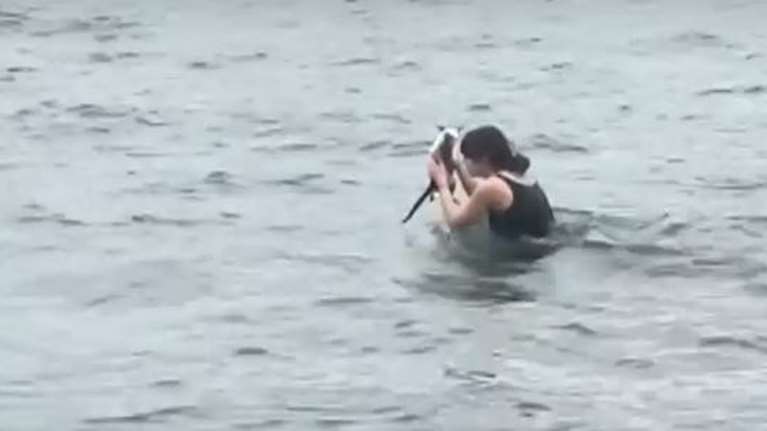 Οσο υπάρχουν καλοί άνθρωποι υπάρχει ελπίδα: Νεαρή κοπέλα βούτηξε για να σώσει γατάκι στην Εύβοια - Βίντεο