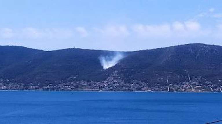 Αιάντειο Σαλαμίνας: Σε εξέλιξη η δασική πυρκαγιά - Μεταβαίνουν δυνάμεις και από τον Πειραιά