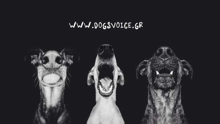 Σπουδαία γιορτή γνωριμιών στη δημοτική αγορά στην Κυψέλη: Προξενιά, φιλίες ζωής, δεσμοί που θα γίνουν άρρηκτοι