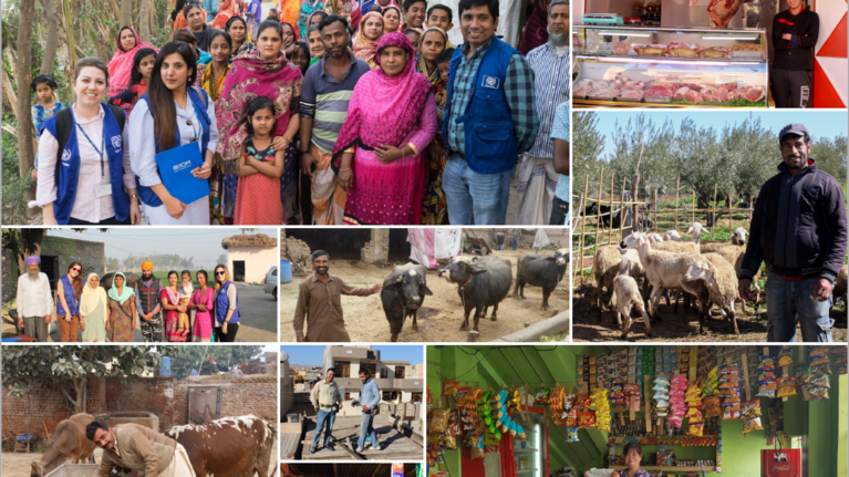 ΔΟΜ: 16.500 εθελούσιες επιστροφές στην επόμενη τριετία