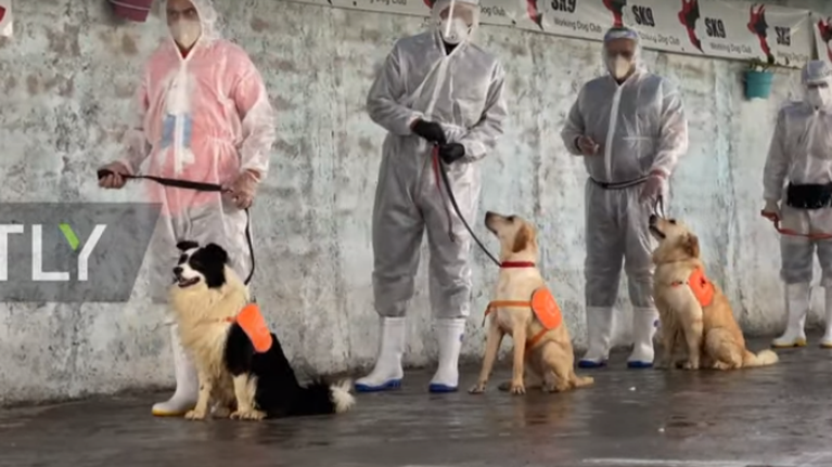 Η Τεχεράνη εκπαιδεύει σκύλους να ανιχνεύουν τον κορoνοϊό - video