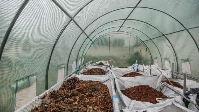 Θεσσαλονίκη: Ανακύκλωσαν τα υπολείμματα 650.000 καφέδων - Τα μάζεψαν σε ένα χρόνο [Εικόνες]