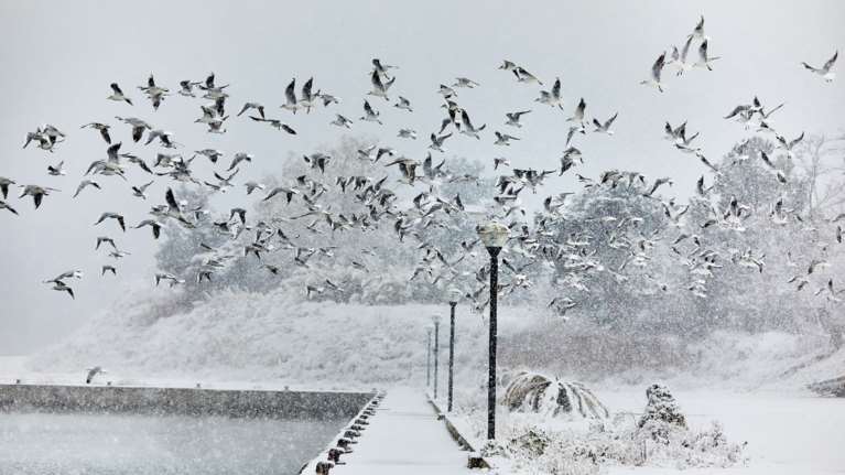 Στυλιανίδης: Σε δύο κύκλους έρχεται το κύμα της κακοκαιρίας - Έχουν ήδη παρθεί μέτρα για να κρατήσουμε το εθνικό δίκτυο ανοιχτό