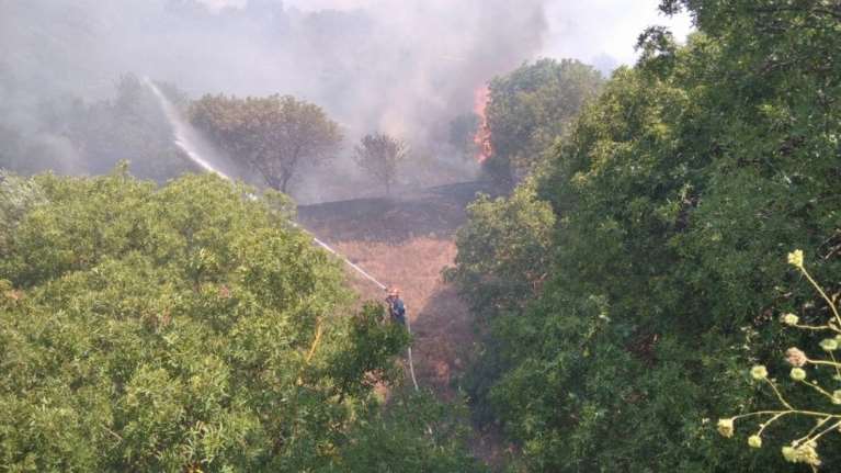 Αχαΐα: Πυρκαγιά ξέσπασε σε αγροτοδασική έκταση στην περιοχή Ράχη - Επιχειρούν και δύο πετζετέλ