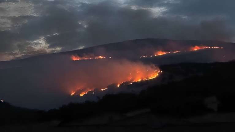 Φωτιά στη Λάρισα: Καίει σε διάσπαρτα μέτωπα στο Αμύγδαλο - Επιχειρούν και εναέρια μέσα