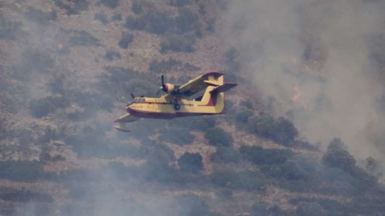 Εκρηκτικός συνδυασμός τα μελτέμια και η ξηρασία τις επόμενες μέρες: 41 πυρκαγιές μόνο τελευταίο 24ώρο