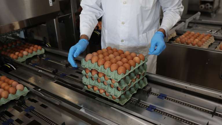 Ανοίγει η πλατφόρμα για το &quot;Πρώτο Ένσημο&quot; και το πρόγραμμα 150.000 θέσεων εργασίας