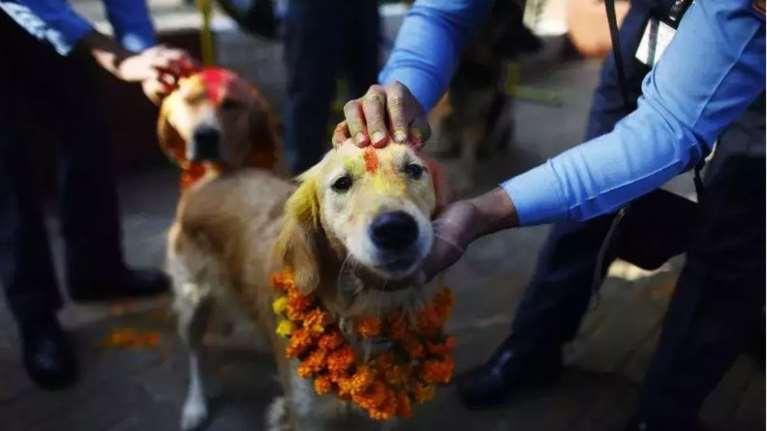 &quot;Kukur Tihar&quot;: Η συγκινητική γιορτή στο Νεπάλ που τιμά τους σκύλους με στολίδια και λιχουδιές [Εικόνες - Βίντεο]