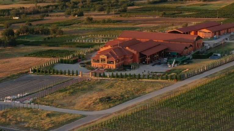 Από ξινόμαυρο μέχρι Sauvigon Blanc: Ποιο είναι το οινοποιείο &quot;Κτήμα Αλφα&quot; που επισκέφθηκε ο Μητσοτάκης στο Αμύνταιο