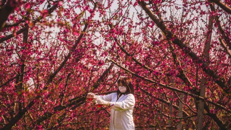 Θεσσαλονίκη: Βραβεύτηκε φωτογραφία εμπνευσμένη από την πανδημία και το lockdown