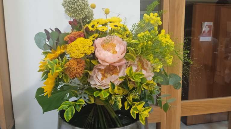 Ελληνικά αγριολούλουδα σε ανθοπωλεία - Πέντε είδη με ειδική άδεια για το βάζο