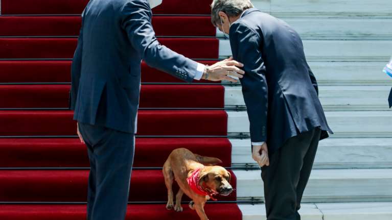 Μητσοτάκης - Σασόλι: Ο Πίνατ έκλεψε την παράσταση με την κόκκινη μπαντάνα στο Μαξίμου [Εικόνες]