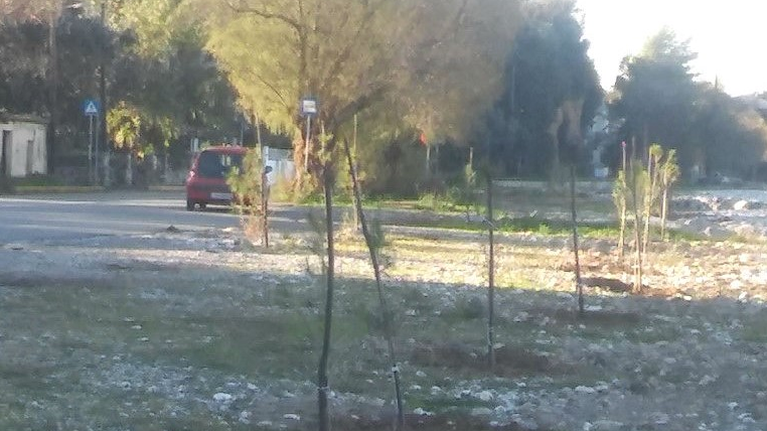 Έγκλημα στη Μαντίνεια Καλαμάτας: 52χρονος σκότωσε με μαχαίρι την 86χρονη μάνα του και επιχείρησε να αυτοκτονήσει