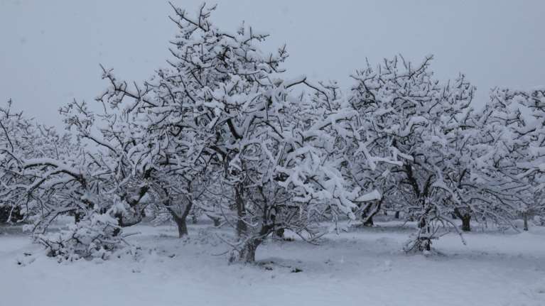 Πού έφτασε  -25,1 βαθμούς Κελσίου η θερμοκρασία – Ριπές ανέμου 105 χλμ/ώρα στο Αιγαίο