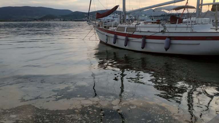 Βόλος: Νεκρός άνδρας εντοπίστηκε στο λιμάνι - Ανασύρθηκε από τη θάλασσα η σορός του