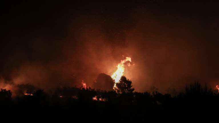 Φωτιά στον Έβρο: Ολονύκτια μάχη με τις φλόγες στη Λευκίμμη - Συνεχίζονται οι επιχειρήσεις
