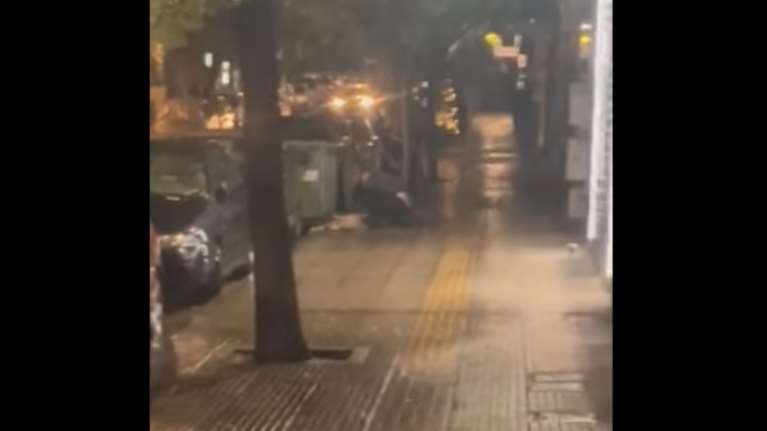 Κυψέλη: Βίντεο ντοκουμέντο με άνδρα να μαχαιρώνει με μανία σκύλο στον δρόμο - Ερευνάται αν είναι αυτός που αποκεφάλιζε γάτες