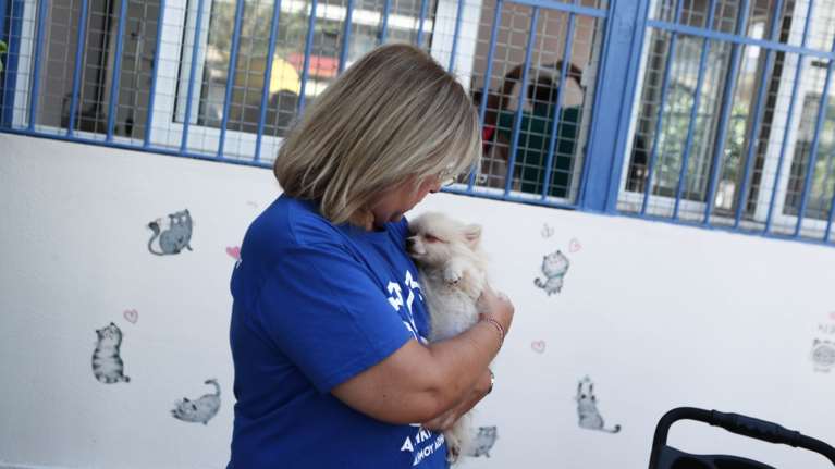 Παρβοϊός: Τι τον προκαλεί, πώς θα καταλάβετε ότι ένα κουτάβι ή σκύλος νοσεί