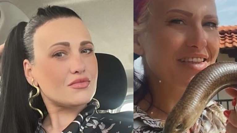 Θεσσαλονίκη: Την πιο δύσκολη μάχη δίνει η 39χρονη εθελόντρια την οποία δάγκωσε οχιά -  Υποστηρίζεται αναπνευστικά