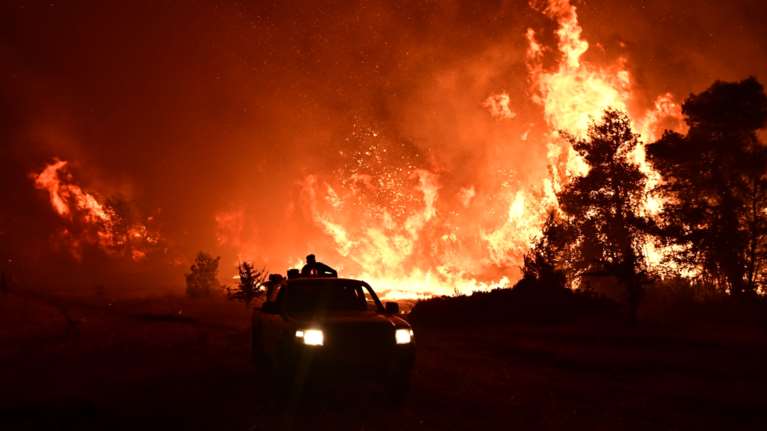 Φωτιά στον Ωρωπό: Συνελήφθη 72χρονος για εμπρησμό από αμέλεια - Εκτελούσε μελισσοκομικές εργασίες