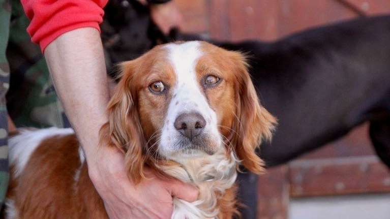 O Αργος έχει μια αιώνια νιότη, μια αιώνια χαρά, μια αιώνια ελπίδα για κάτι καλύτερο