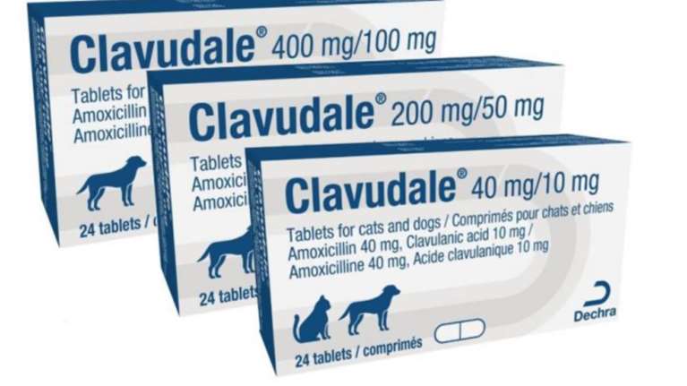 Ανάκληση παρτίδων του κτηνιατρικού αντιβιοτικού Clavudale
