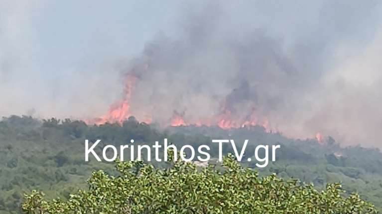 Φωτιά στο Χαλκί Κορινθίας: Συναγερμός στην Πυροσβεστική - Οι φλόγες κατευθύνονται προς Αρχαία Νεμέα