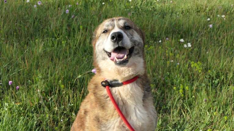 Kαλή εβδομάδα από τη Σέλβα: Περήφανη και αγέρωχη έχει σίγουρα περάσει από χέρια που της φέρθηκαν σκληρά