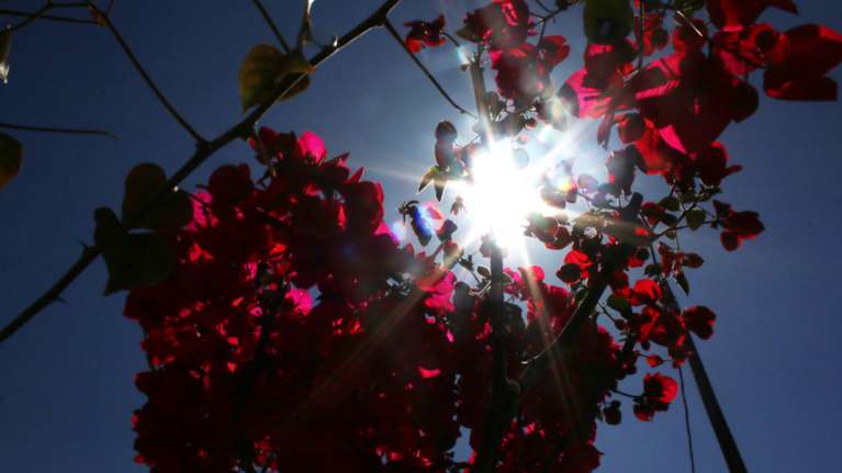 Ανοιξιάτικος ο καιρός: Εως 25 βαθμούς σήμερα ο υδράργυρος και νοτιάδες