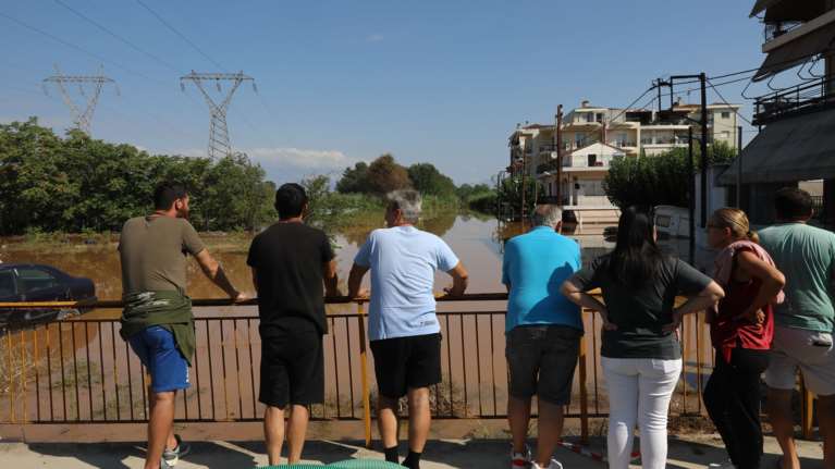 Kακοκαιρία Daniel - Παγώνη: Υγειονομική βόμβα τα πνιγμένα ζώα στον κάμπο