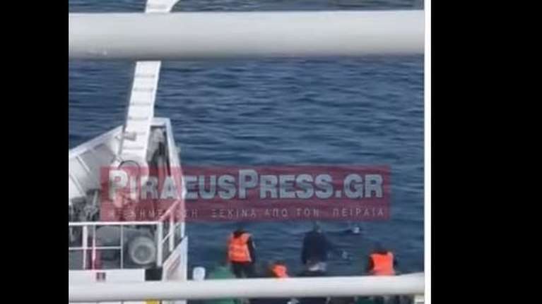 Φέρι μποτ περισυνέλεξε άνδρα που βρέθηκε να επιπλέει ανάμεσα σε Σαλαμίνα και Πέραμα - Δεν πίστευαν στα μάτια τους