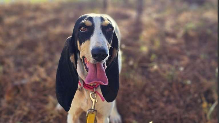 Η Μπέλα Μπάξτερ γεννήθηκε.... προχθές και άρχισε να ανακαλύπτει τον κόσμο από την αρχή