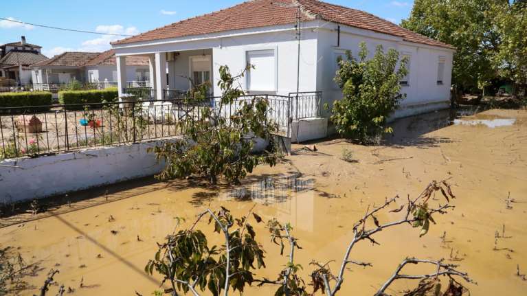 Καμπανάκι Λινού για Θεσσαλία: Τα βακτήρια από τα νεκρά ζώα είναι το μεγαλύτερο πρόβλημα με το νερό
