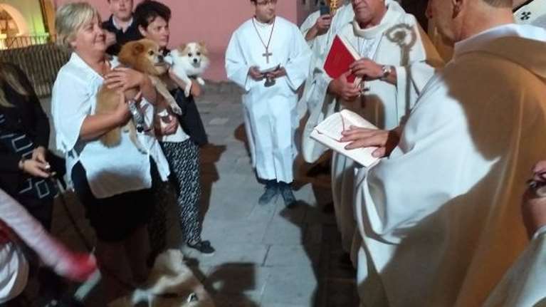 Παγκόσμια Ημέρα Ζώων: Στην Κέρκυρα ευλογούν τα κατοικίδιά τους στην εκκλησία [Βίντεο]