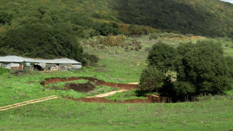 Δημ. Παρασκευής για αιμορραγικό πυρετό: Δεν μεταδίδεται εύκολα -  Μεμονωμένα τα περιστατικά και όχι εκτεταμένα κρούσματα