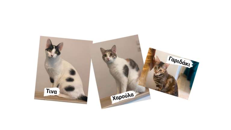 Αν δεν πιστεύετε στα θαύματα... τότε η ιστορία αυτή θα σας κάνει να πιστέψετε