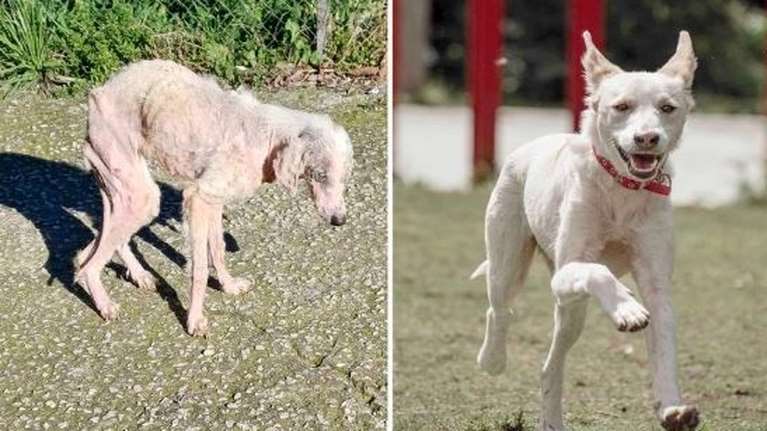 Κυκλοφορούσε νεκροζώντανη: Πόσα βλέμματα απλώς την είδαν και την προσπέρασαν