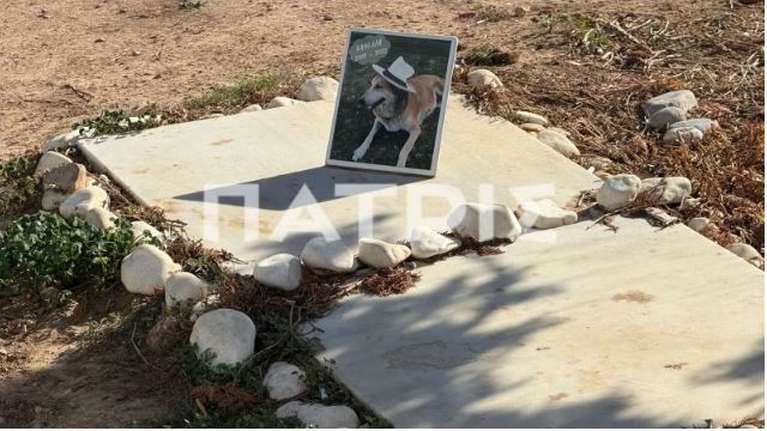 Το τελευταίο σπίτι της Κανέλας στο Αεροδρόμιο Ηρακλείου: Χρόνια συνόδευε τις αφίξεις και τις αναχωρήσεις των επιβατών