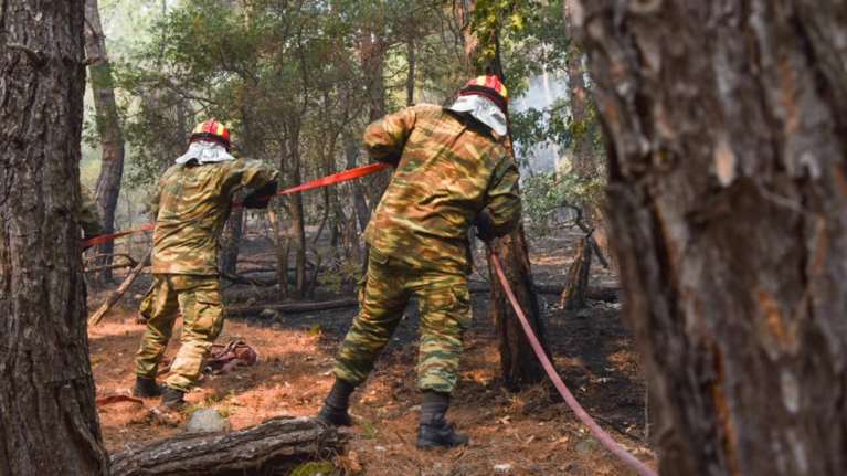 Κόντρα Αμυρά - ΣΥΡΙΖΑ για τη φωτιά στη Δαδιά: Αν ζούσε ο βαρόνος Μινχάουζεν, θα ωχριούσε μπροστά στα ψεύδη του ΣΥΡΙΖΑ