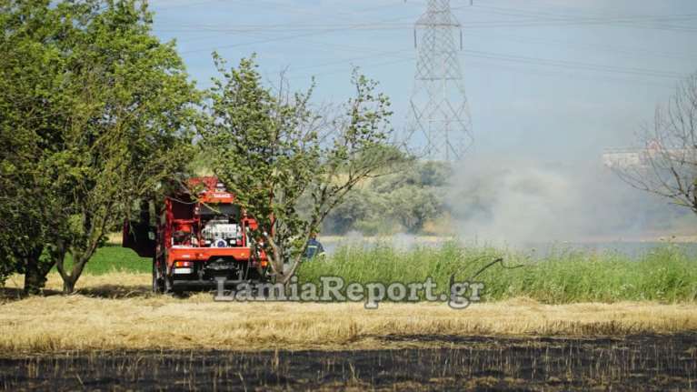Συναγερμός για πυρκαγιά δίπλα σε σπίτια στη Λαμία [βίντεο - φωτιά]