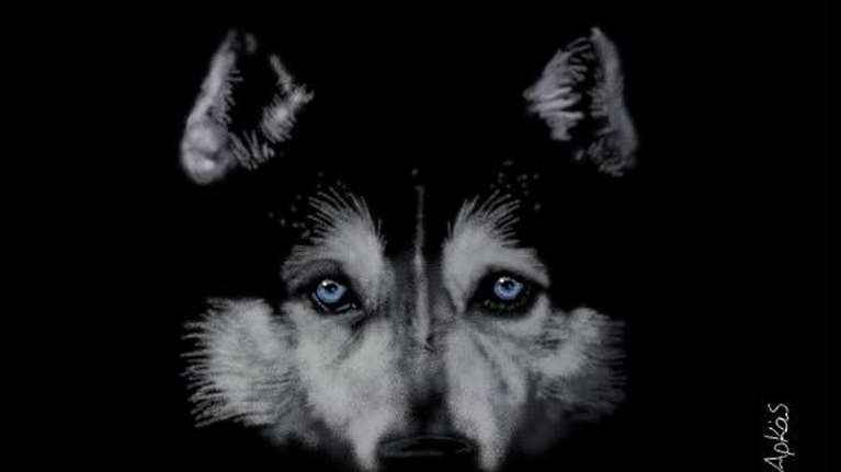 Αρκάς: Η σκληρή αλήθεια για τον θάνατο του Ολιβερ στην Αράχωβα και την κτηνωδία [εικόνα]