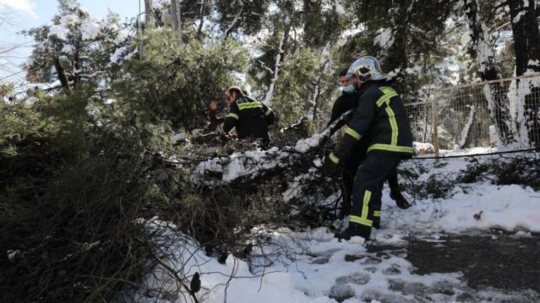 Γιατί έπεσαν τόσα δέντρα από τη &quot;Μήδεια&quot; - Το στοιχείο της πρωτοφανούς κακοκαιρίας που προκάλεσε τόσες ζημιές