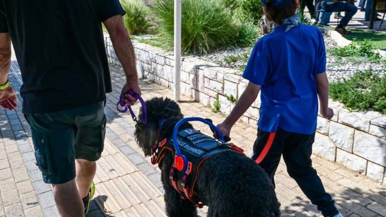 Αρθρίτιδα: Πώς θα βοηθήσετε τον σκύλο σας να έχει  καλύτερη ποιότητα ζωής