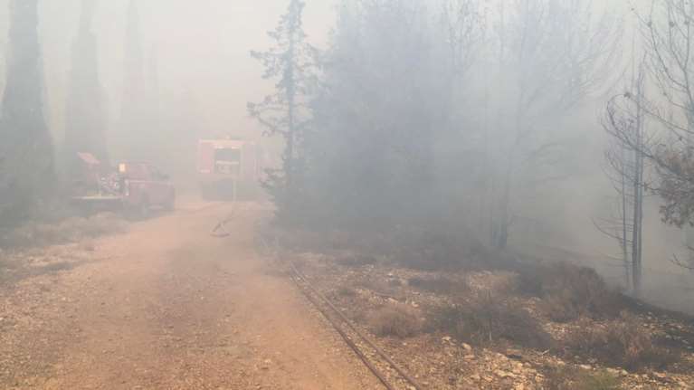 Δραματική αύξηση των φωτιών και των καμένων εκτάσεων στην ΕΕ - Καλύτερη εικόνα στην Ελλάδα