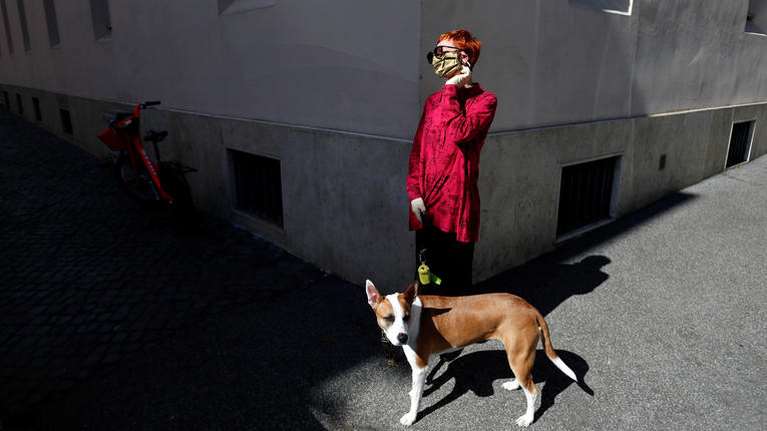 Κτηνίατροι: Μην απολυμαίνετε τους σκύλους και τις γάτες με χλωρίνη και υδροαλκοολικά τζελ