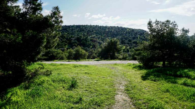 Φωτιά στο Άλσος Βεΐκου: Επιχειρεί ισχυρή δύναμη της πυροσβεστικής