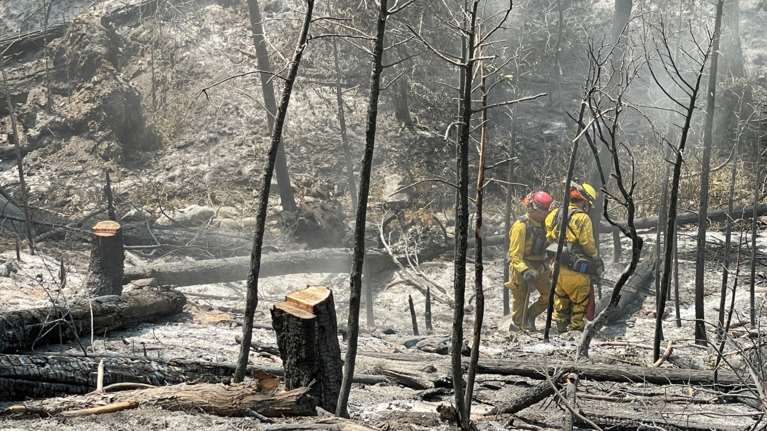 Πέντε προσαγωγές αλλοδαπών για εμπρησμό στα Λάβαρα Έβρου