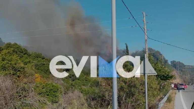 Φωτιά στην Εύβοια: Πυρκαγιά στον Αλμυροπόταμο - Σηκώθηκαν τρία εναέρια μέσα [εικόνες]