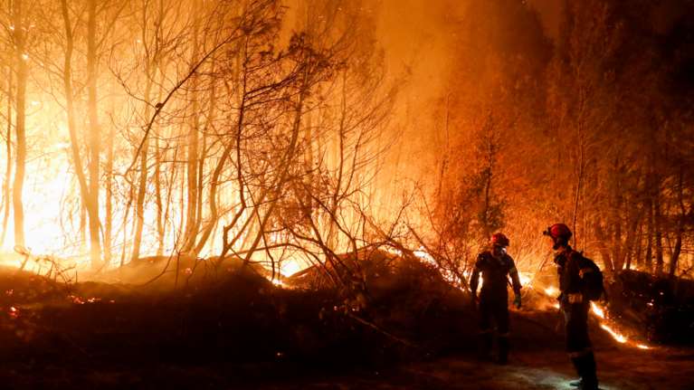Σε πύρινο κλοιό και η Μακεδoνία: Πέντε πυρκαγιές σε εξέλιξη - Σκληρή προσπάθεια των πυροσβεστών για να μην ξεφύγουν