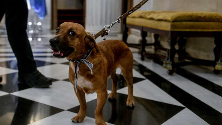 Η πρώτη guest εμφάνιση του πρωθυπουργικού Πίνατ: Στη συνάντηση Μητσοτάκη - Αναστασιάδη [εικόνες]